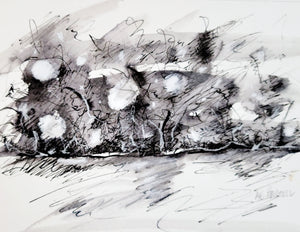 pen and ink fireflies works on paper